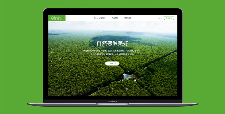 网页设计与维护的成本是多少？